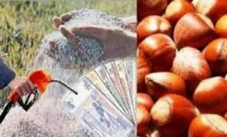 Destekleme Ödemeleri Başladı 