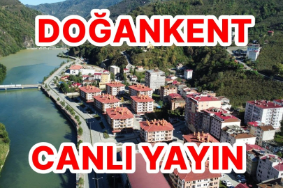 Doğankent (Harşit Caddesi) Canlı Yayın-1