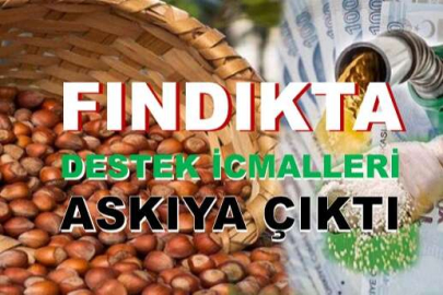 2023 Fındık Alan Bazlı Gelir Desteği İcmalleri Askıya Çıktı!
