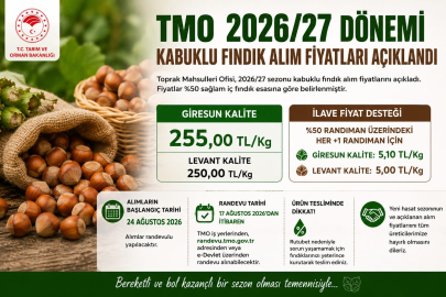 TMO 2026/27 Dönemi Kabuklu Fındık Alım Fiyatlarını Açıkladı