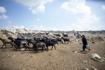 Mersin’de üreticiye güneş paneli desteği