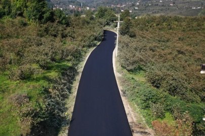 Ordu İkizce Düzpelit Mahallesi asfalta kavuşuyor